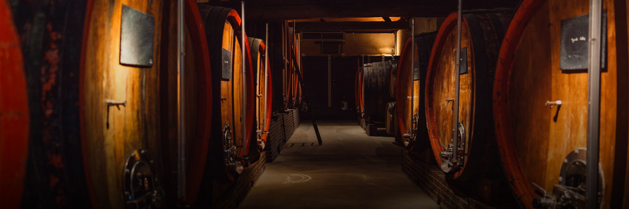A Champagne dialogue, 25 years in the making